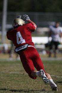 开云官网登录-NBA球队防守体系深度剖析，nba的防守强队