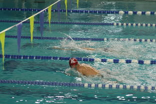 开云首页登录-世界青少年游泳锦标赛中国运动员表现优异，世界青少年游泳锦标赛中国运动员表现优异吗