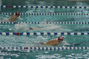 开云首页登录-世界青少年游泳锦标赛中国运动员表现优异，世界青少年游泳锦标赛中国运动员表现优异吗