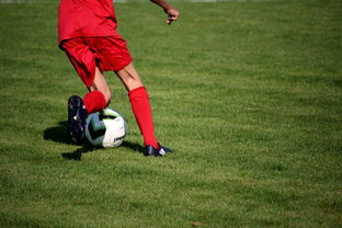 开云官网登录-英超青训体系中情绪调节训练对青少年比赛焦虑的控制作用，英超青训球员定义